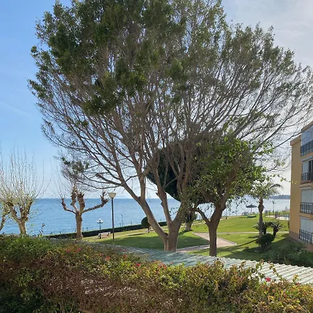 Apartment Palm Breeze Beachfront *
